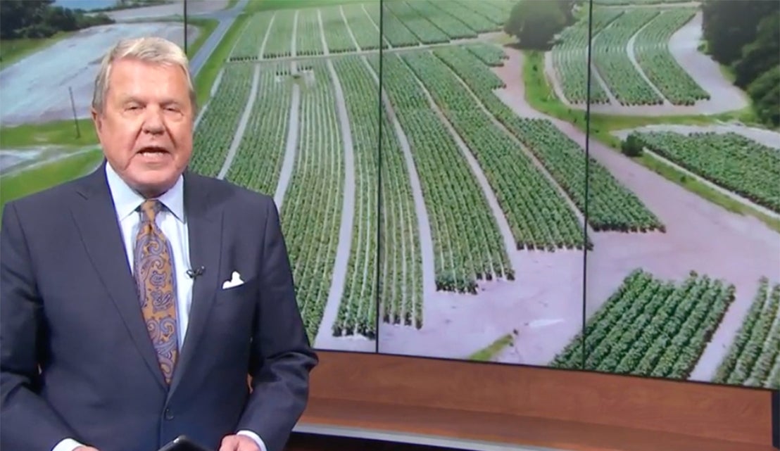 WRAL anchorman in front of image of crops